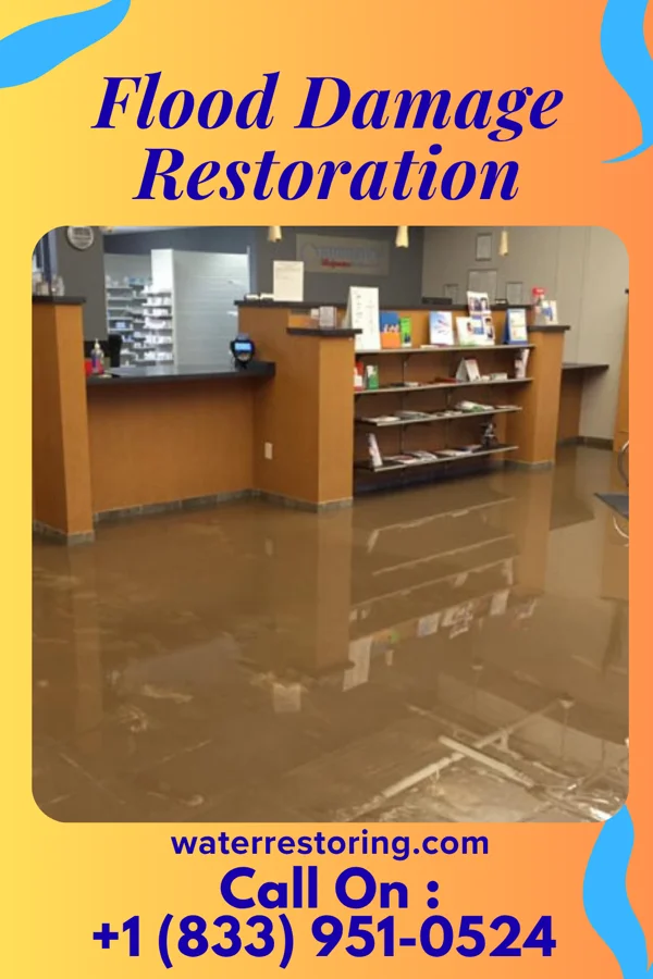 Flood Damage Restoration in Lawndale, NC